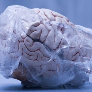 Китайские ученые научились замораживать мозг человека без повреждений.